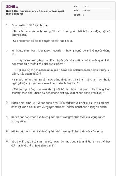 Bài 38: Các nhân tố ảnh hưởng đến sinh trưởng và phát triển ở động vật