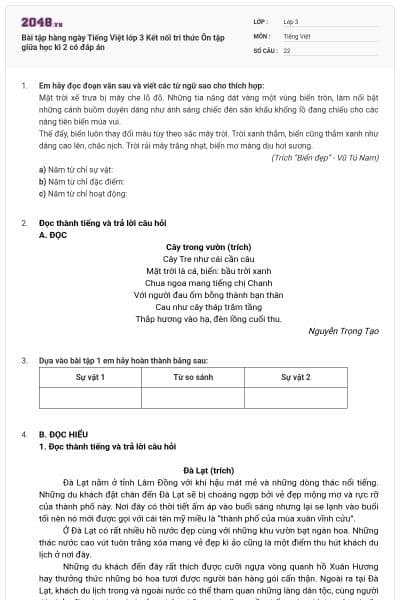 Bài tập hàng ngày Tiếng Việt lớp 3 Kết nối tri thức Ôn tập giữa học kì 2 có đáp án
