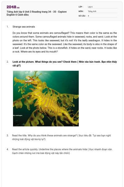 Tiếng Anh lớp 6 Unit 3 Reading trang 34 - 35 - Explore English 6 Cánh diều