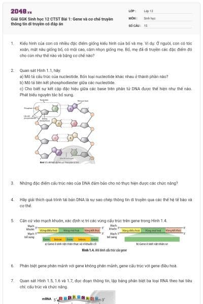 Giải SGK Sinh học 12 CTST Bài 1: Gene và cơ chế truyền thông tin di truyền có đáp án