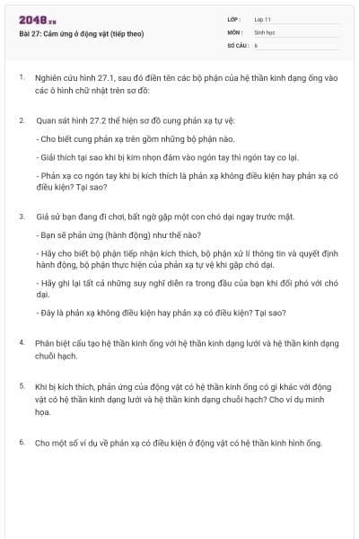 Bài 27: Cảm ứng ở động vật (tiếp theo)