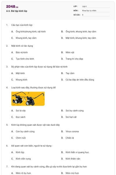 A.6. Bài tập kính lúp