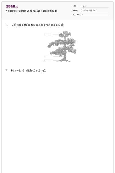 Vở bài tập Tự nhiên và Xã hội lớp 1 Bài 24: Cây gỗ