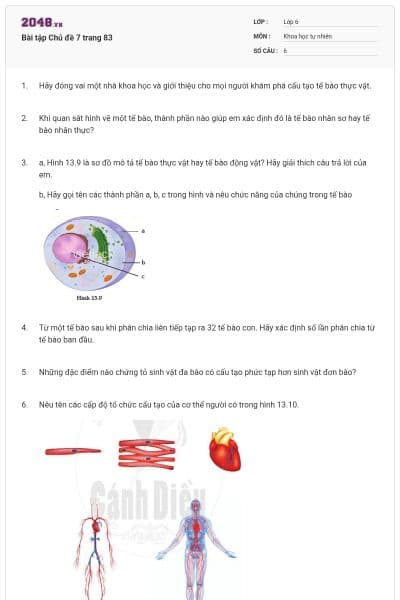 Bài tập Chủ đề 7 trang 83