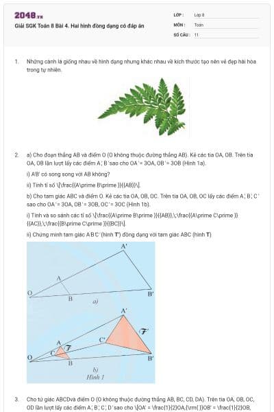 Giải SGK Toán 8 Bài 4. Hai hình đồng dạng có đáp án