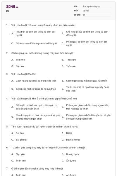 lỗi