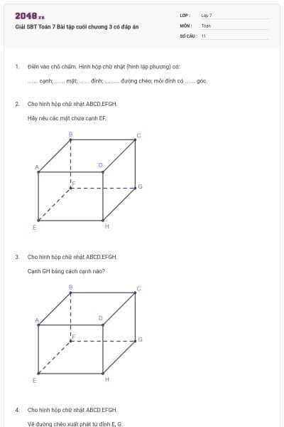 Giải SBT Toán 7 Bài tập cuối chương 3 có đáp án