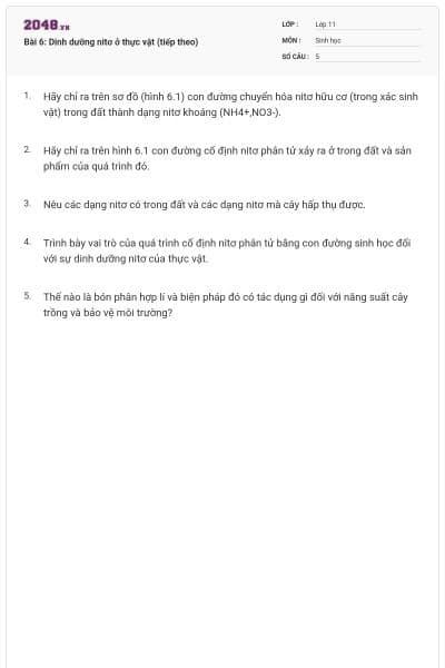 Bài 6: Dinh dưỡng nitơ ở thực vật (tiếp theo)