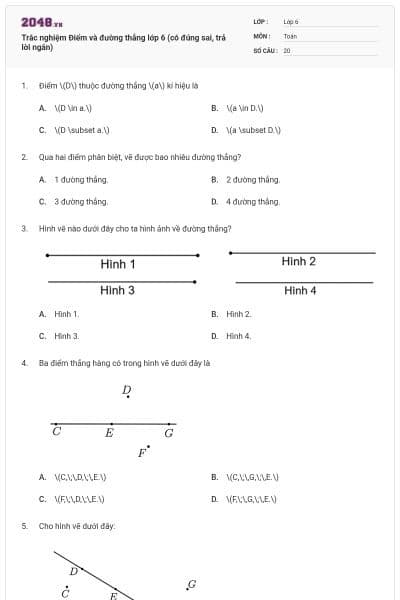 Trắc nghiệm Điểm và đường thẳng lớp 6 (có đúng sai, trả lời ngắn)