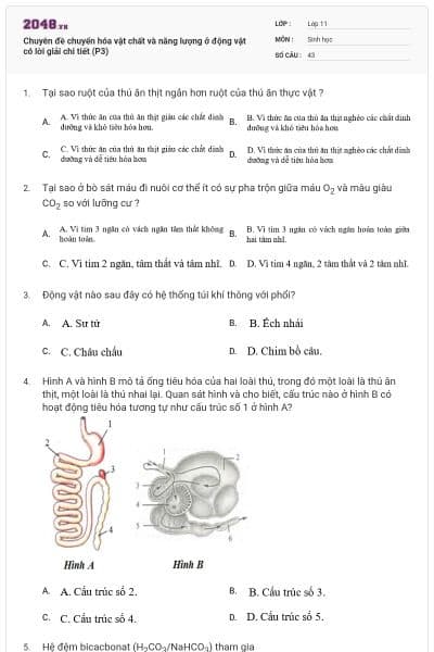 Chuyên đề chuyển hóa vật chất và năng lượng ở động vật có lời giải chi tiết (P3)