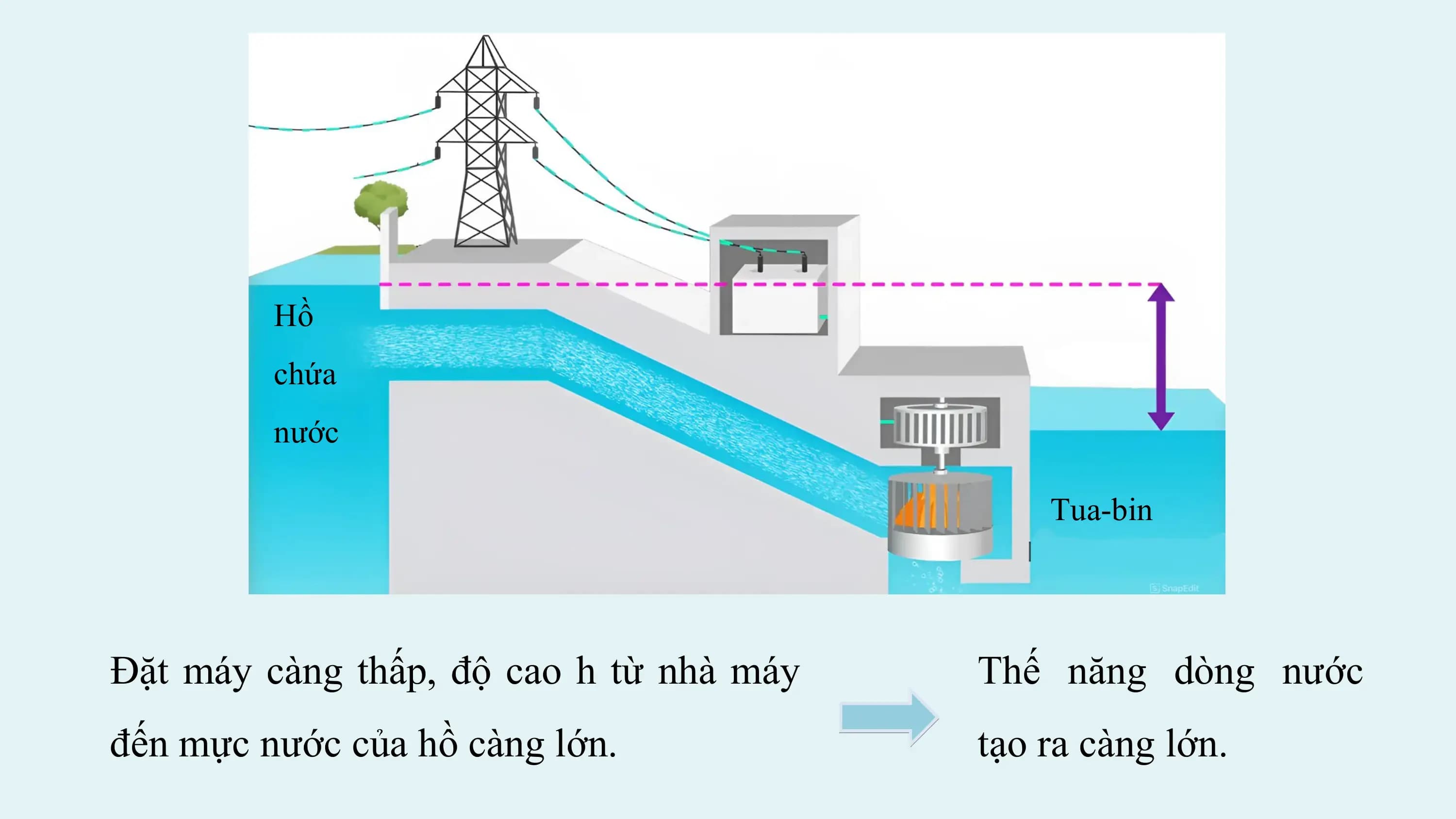 Hồ
 chứa
 nước

 Tua-bin

Đặt máy càng thấp, độ cao h từ nhà máy Thế năng dòng nước
đến mực nước của hồ càng lớn. tạo ra càng lớn.