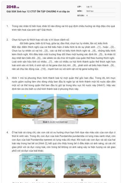 Giải SGK Sinh học 12 CTST ÔN TẬP CHƯƠNG 4 có đáp án