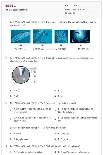 Bài 27: Nguyên sinh vật