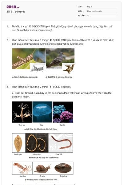 Bài 31: Động vật