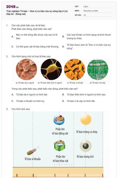 Trắc nghiệm Tế bào – Đơn vị cơ bản của sự sống lớp 6 (có đáp án - Đúng sai)
