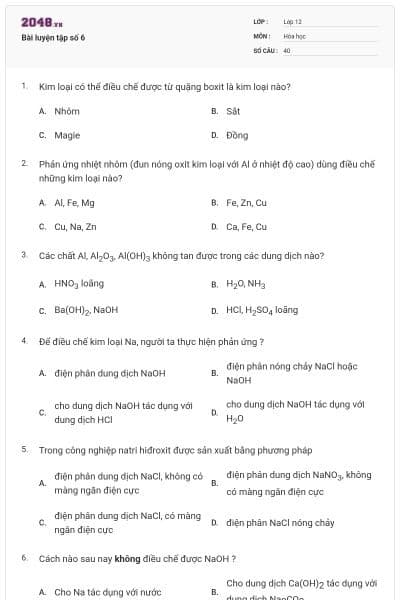 Bài luyện tập số 6