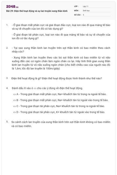 Bài 29: Điện thế hoạt động và sự lan truyền xung thần kinh