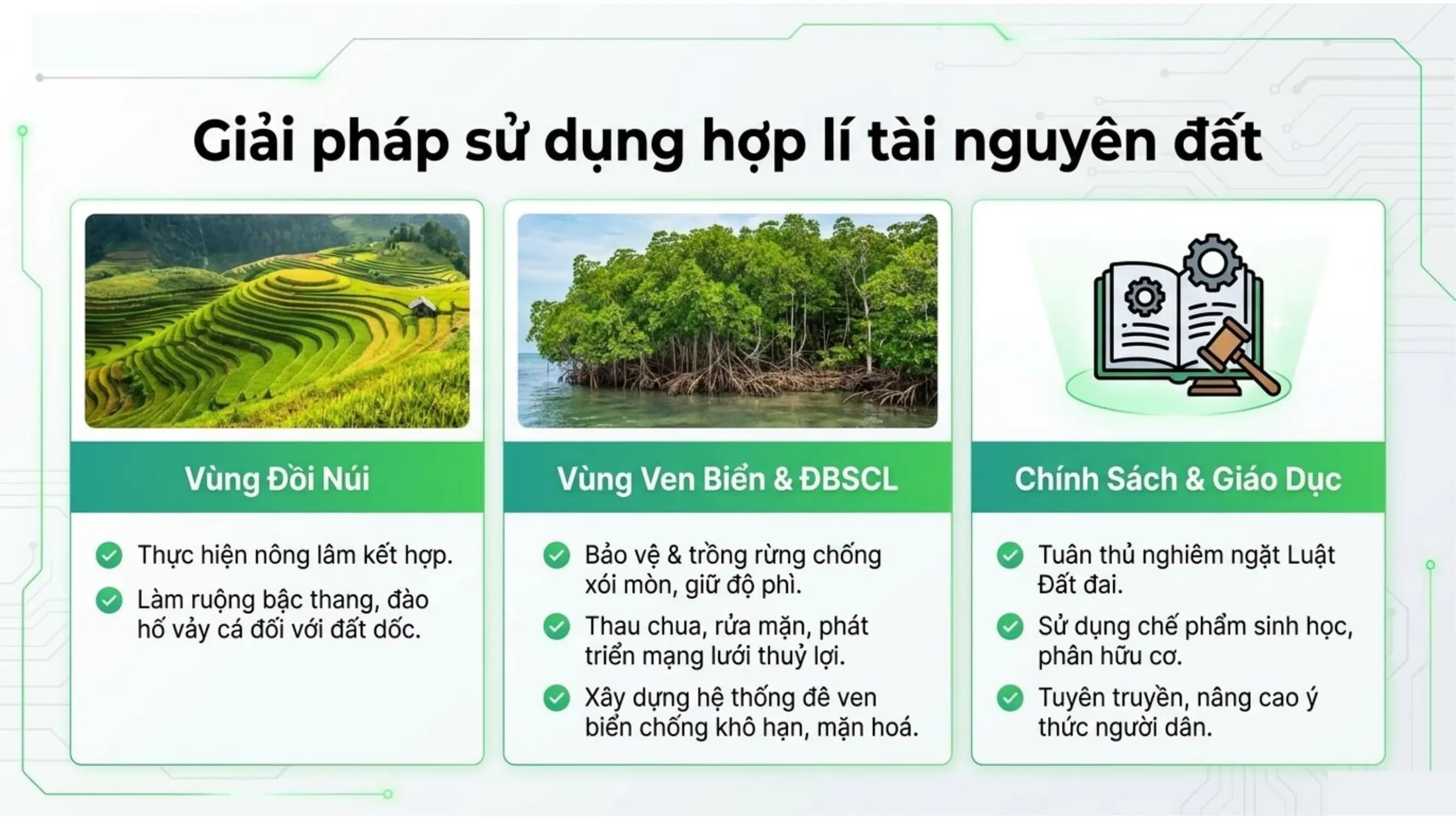 Nội dung nhập