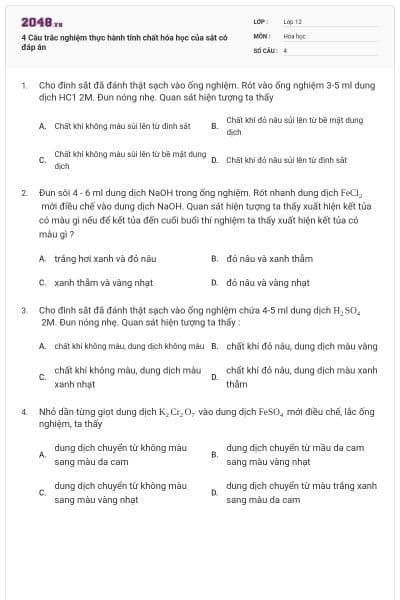 4 Câu trắc nghiệm thực hành tính chất hóa học của sắt có đáp án