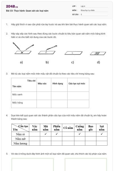 Bài 33: Thực hành: Quan sát các loại nấm