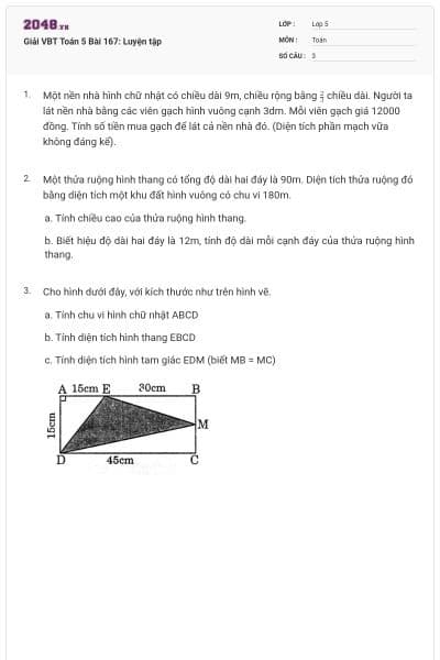 Giải VBT Toán 5 Bài 167: Luyện tập