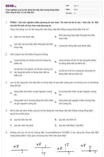 Trắc nghiệm Lực từ tác dụng lên dây dẫn mang dòng điện. Cảm ứng từ lớp 12 (có đáp án)