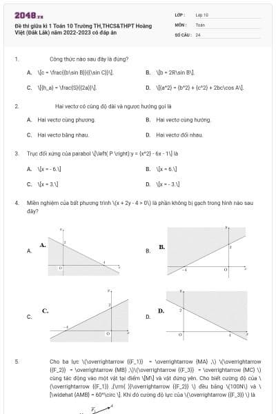 Đề thi giữa kì 1 Toán 10 Trường TH,THCS&THPT Hoàng Việt (Đắk Lắk) năm 2022-2023 có đáp án