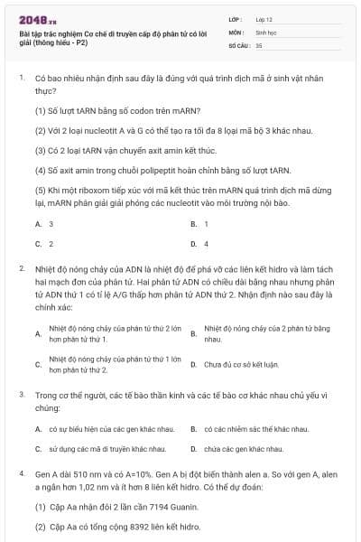 Bài tập trắc nghiệm Cơ chế di truyền cấp độ phân tử có lời giải (thông hiểu - P2)