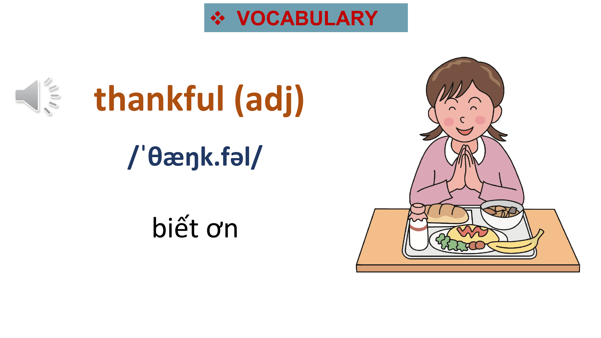 v VOCABULARY

thankful (adj)
 /ˈθæŋk.fəl/

 biết ơn