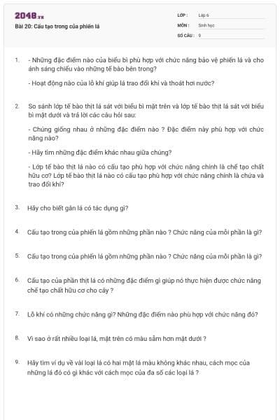 Bài 20: Cấu tạo trong của phiến lá