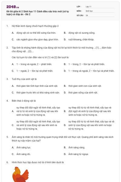 Đề thi giữa kì 2 Sinh học 11 Cánh diều cấu trúc mới (có tự luận) có đáp án - Đề 2