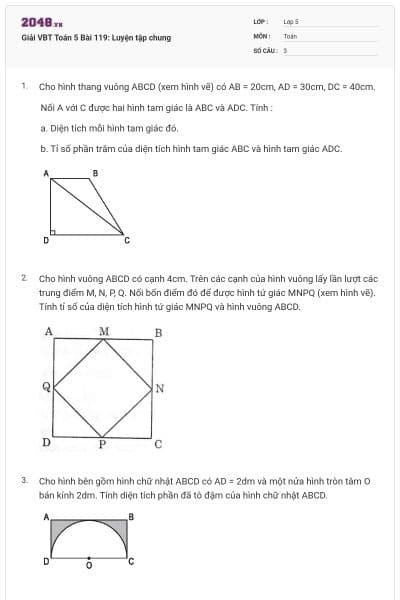 Giải VBT Toán 5 Bài 119: Luyện tập chung