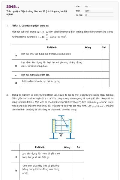 Trắc nghiệm Điện trường đều lớp 11 (có đúng sai, trả lời ngắn)