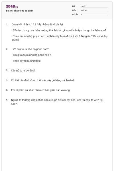 Bài 16: Thân to ra do đâu?