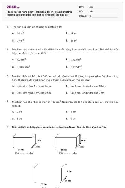 Phiếu bài tập hàng ngày Toán lớp 5 Bài 54. Thực hành tính toán và ước lượng thể tích một số hình khối (có đáp án)