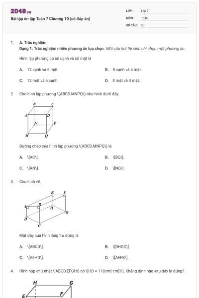 Bài tập ôn tập Toán 7 Chương 10 (có đáp án)