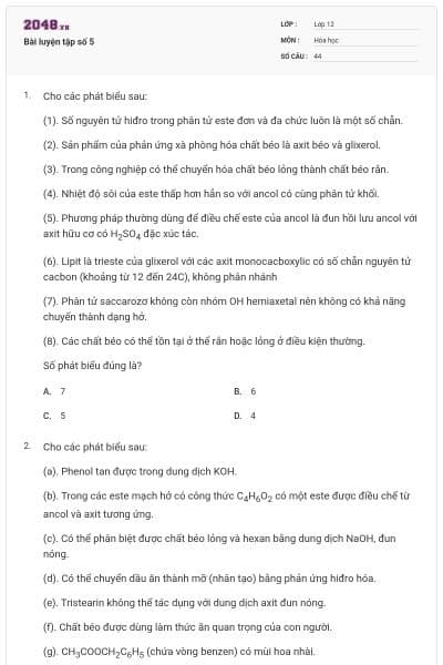 Bài luyện tập số 5