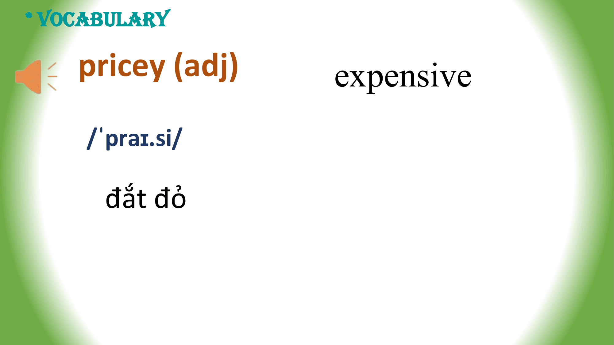 * VOCABULARY

 pricey (adj) expensive
 /ˈpraɪ.si/

 đắt đỏ
