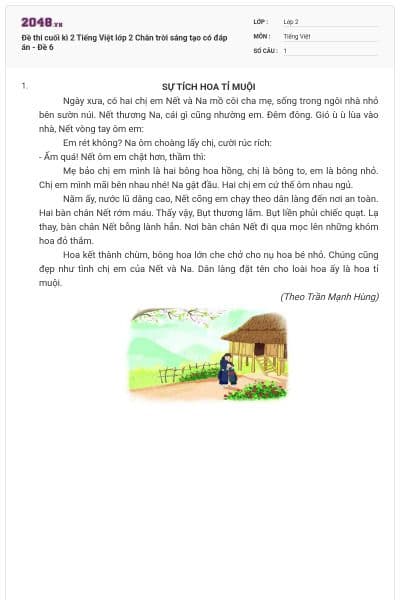 Đề thi cuối kì 2 Tiếng Việt lớp 2 Chân trời sáng tạo có đáp án - Đề 6