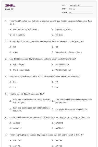 Đề số 23