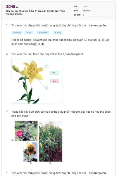 Giải bài tập Khoa học 5 Bài 61 (có đáp án): Ôn tập: Thực vật và động vật