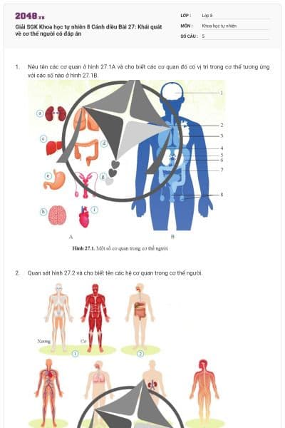 Giải SGK Khoa học tự nhiên 8 Cánh diều Bài 27: Khái quát về cơ thể người có đáp án