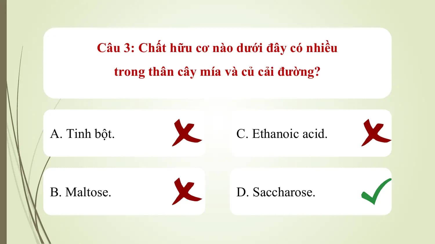 Câu 3: Chất hữu cơ nào dưới đây có nhiều
 trong thân cây mía và củ cải đường?

A. Tinh bột. C. Ethanoic acid.

B. Maltose. D. Saccharose.