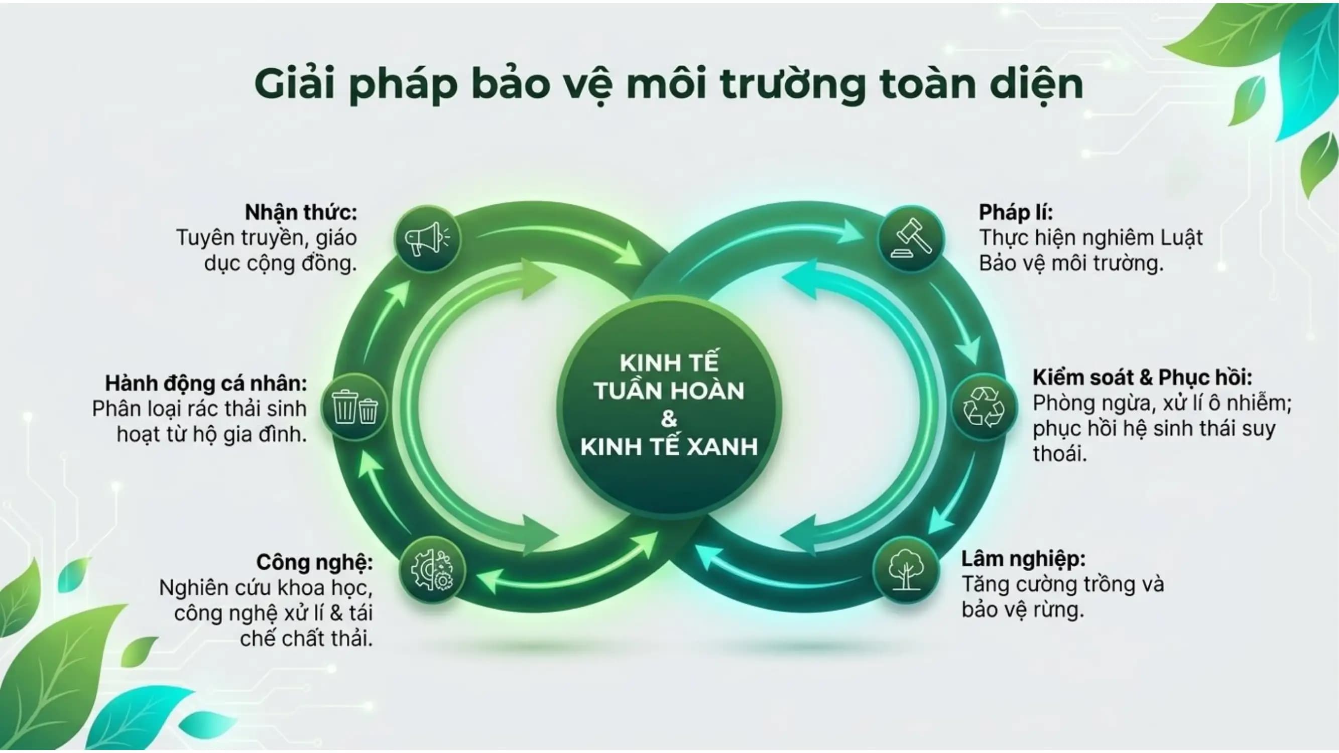 Nội dung nhập