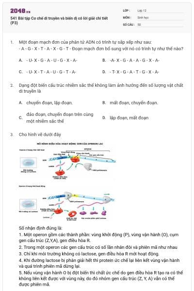 541 Bài tập Cơ chế di truyền và biến dị có lời giải chi tiết (P3)