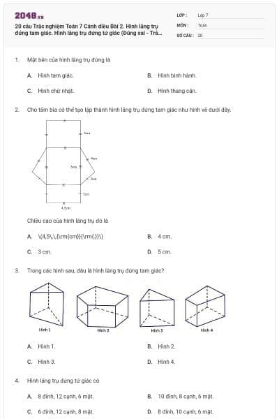 20 câu Trắc nghiệm Toán 7 Cánh diều Bài 2. Hình lăng trụ đứng tam giác. Hình lăng trụ đứng tứ giác (Đúng sai - Trả lời ngắn) có đáp án