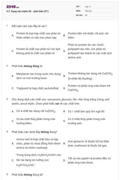 5.2. Dạng câu mệnh đề - phát biểu (P1)