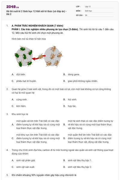 Đề thi cuối kì 2 Sinh học 12 Kết nối tri thức (có đáp án) - Đề 2