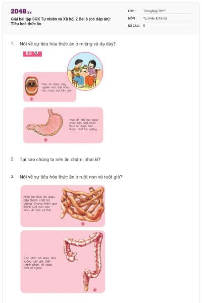 Giải bài tập SGK Tự nhiên và Xã hội 2 Bài 6 (có đáp án): Tiêu hoá thức ăn