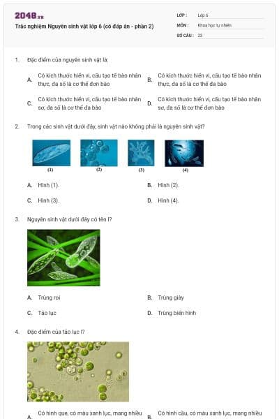 Trắc nghiệm Nguyên sinh vật lớp 6 (có đáp án - phần 2)